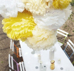 Paper Party Pom Poms and Streamers