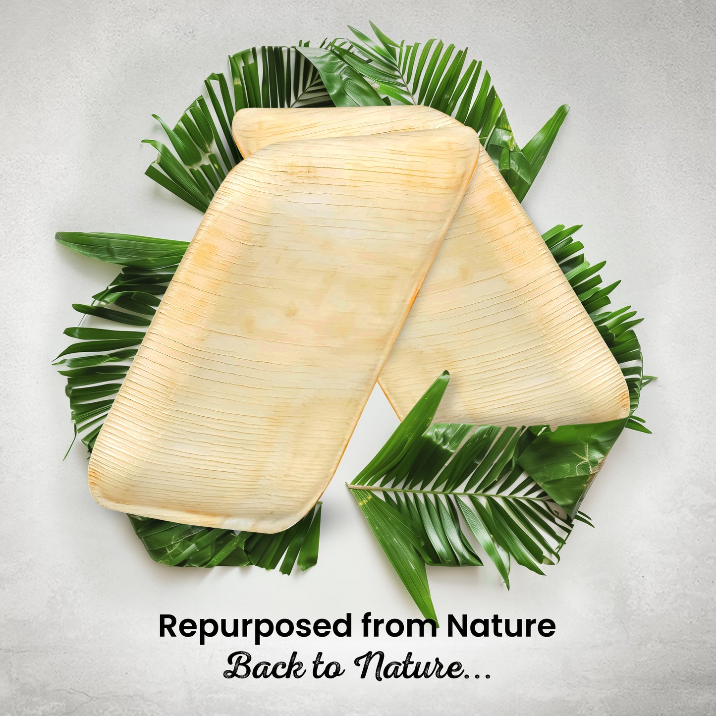 Large 25cm (10") Square Palm Leaf Plates