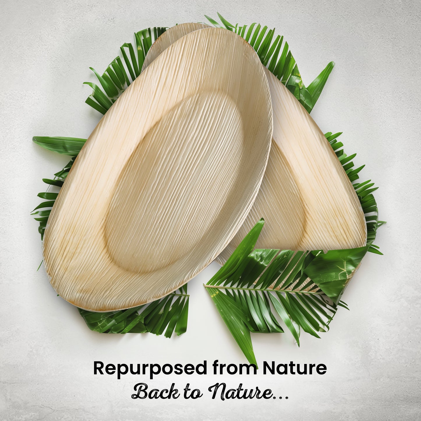 Palm Leaf 10" "Egg" Shape Plate