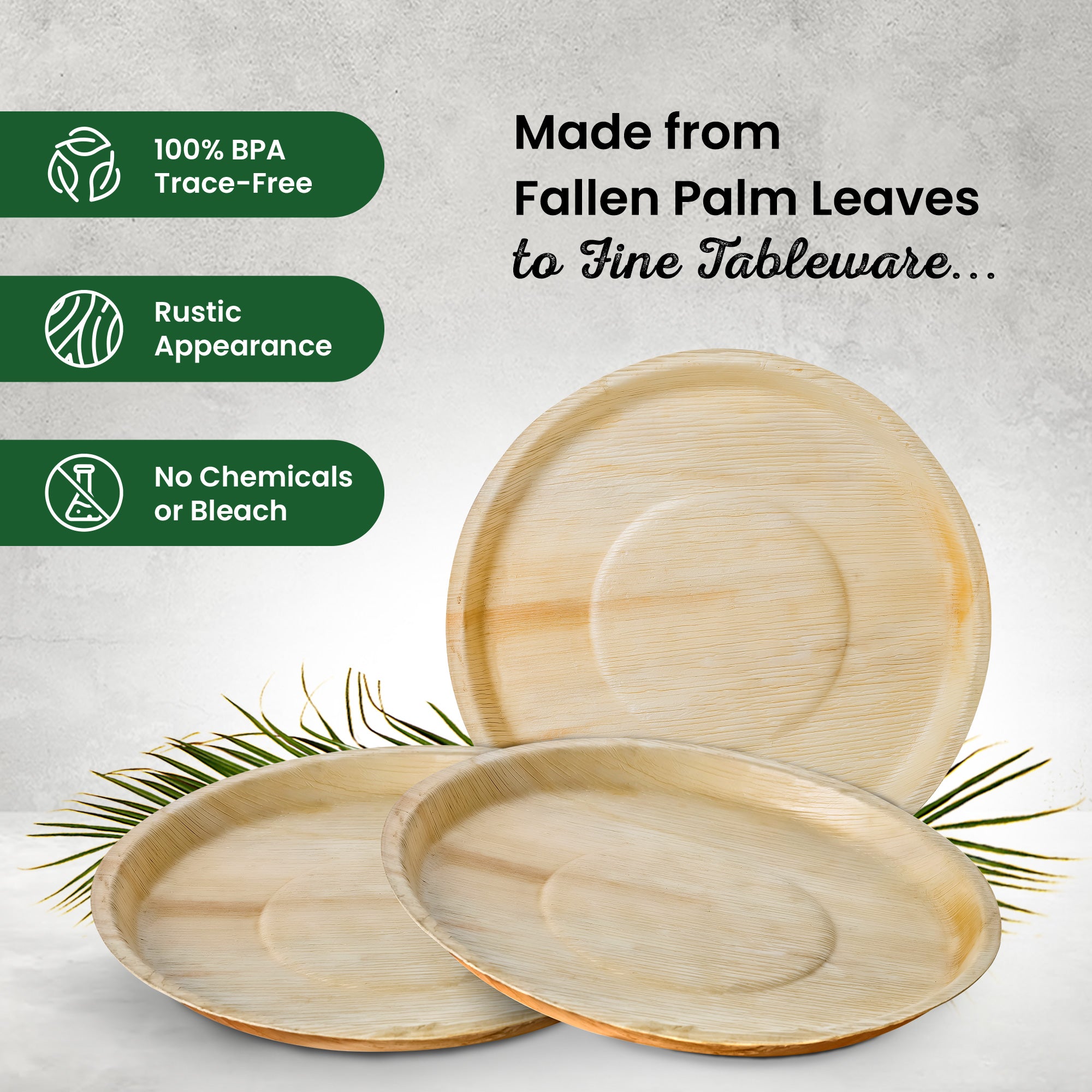 XX-Large 36cm (14inch) Round Palm Leaf Plates
