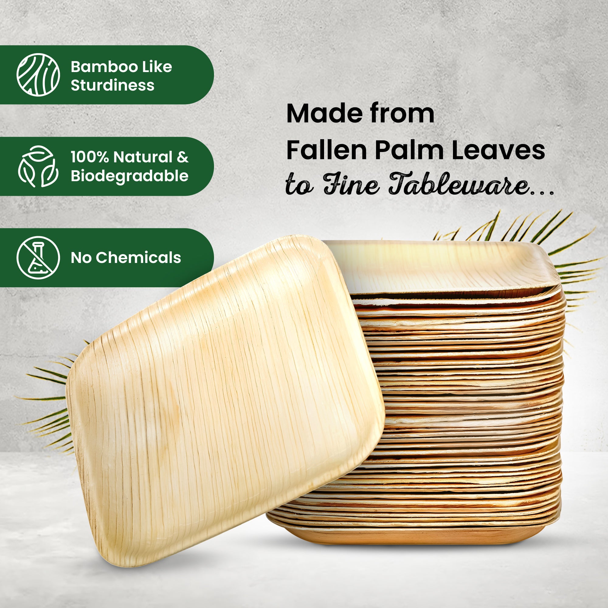 Small 15cm (6") Square Palm Leaf Plates