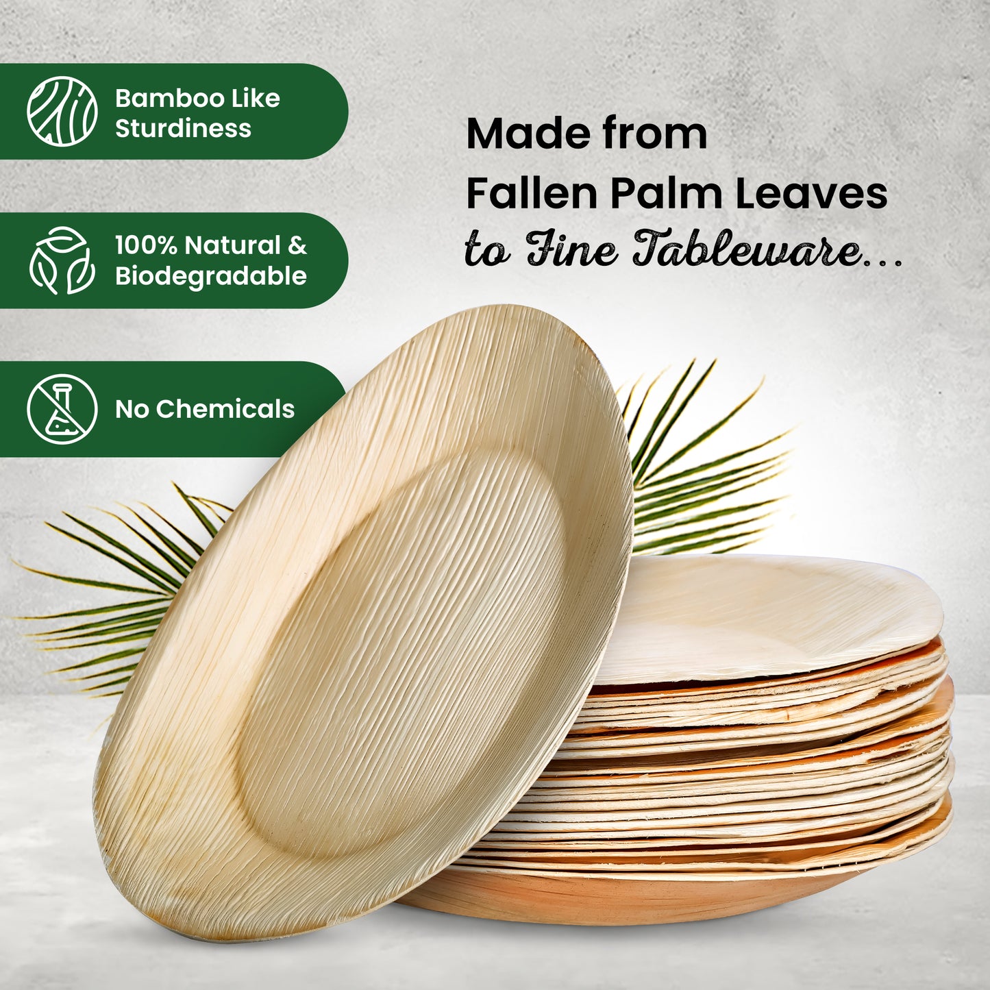 Palm Leaf 10" "Egg" Shape Plate