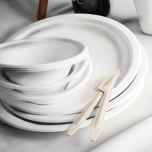 Sugar Cane Dinner Plates 10" - 50 Pack