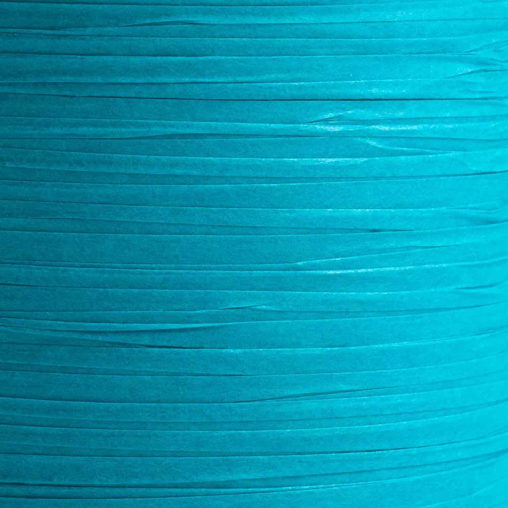 Compostable Ribbon: Turquoise
