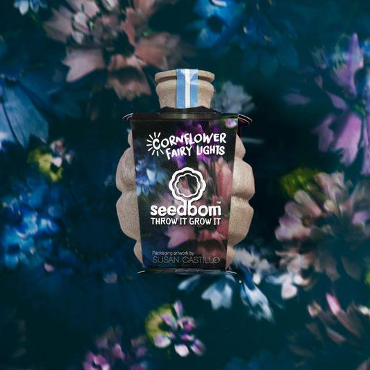 Cornflower Fairy Lights Seedbom