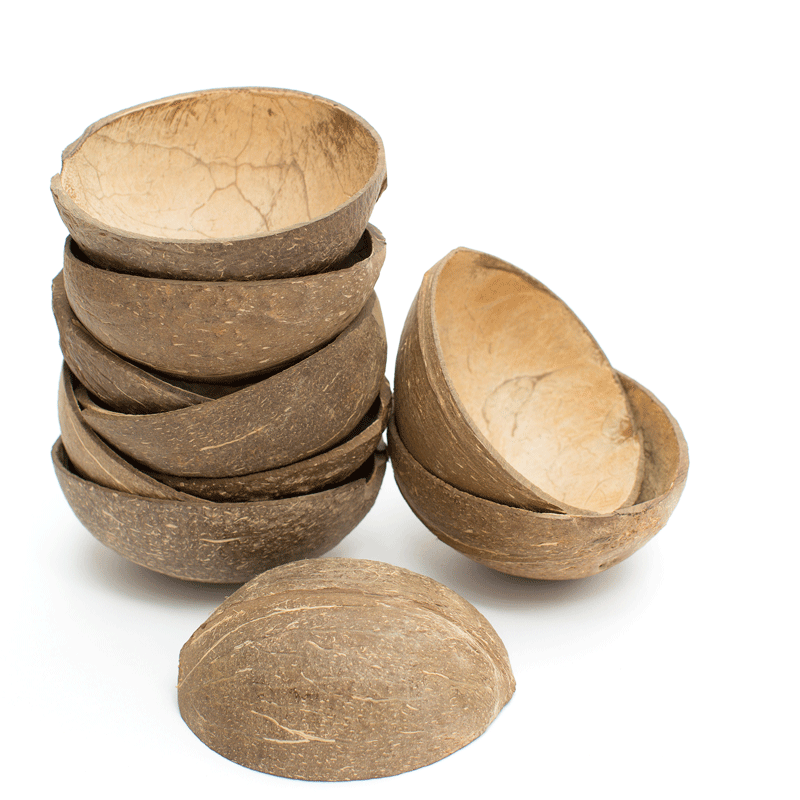 Natural Coconut Shell Bowl - 10 Pack Medium