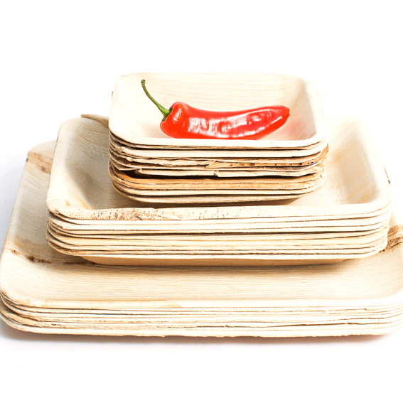 Palm Leaf 10" Rectangular Plate