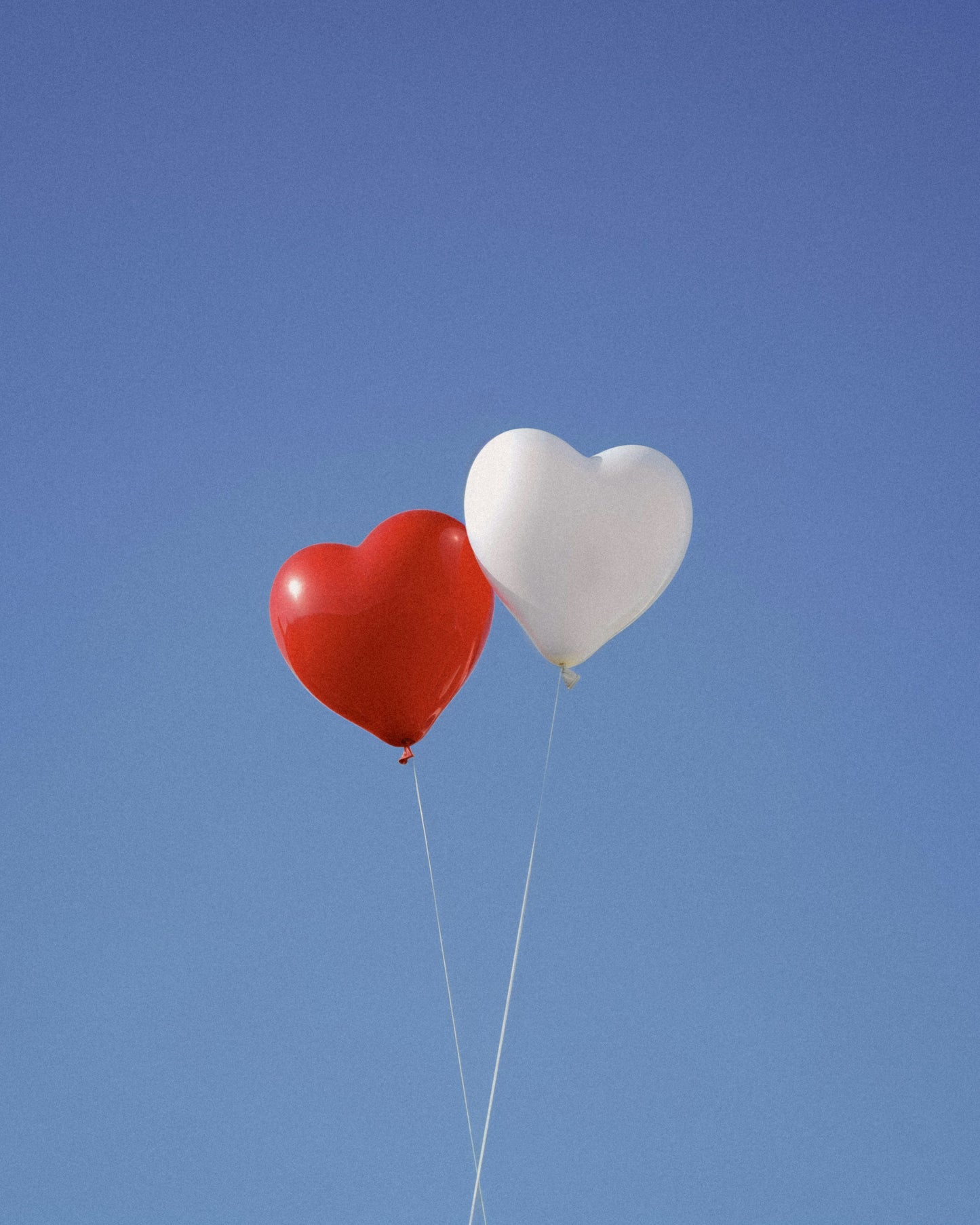 Biodegradable Balloons: Red/White Heart (10 pack)