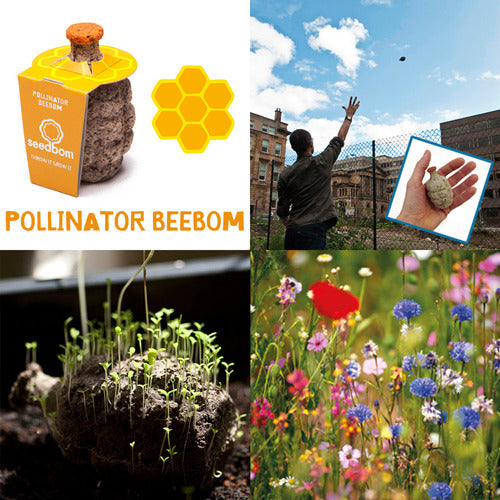 Pollinator BeeBom