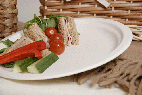 Sugar Cane Dinner Plates 9" - 50 Pack