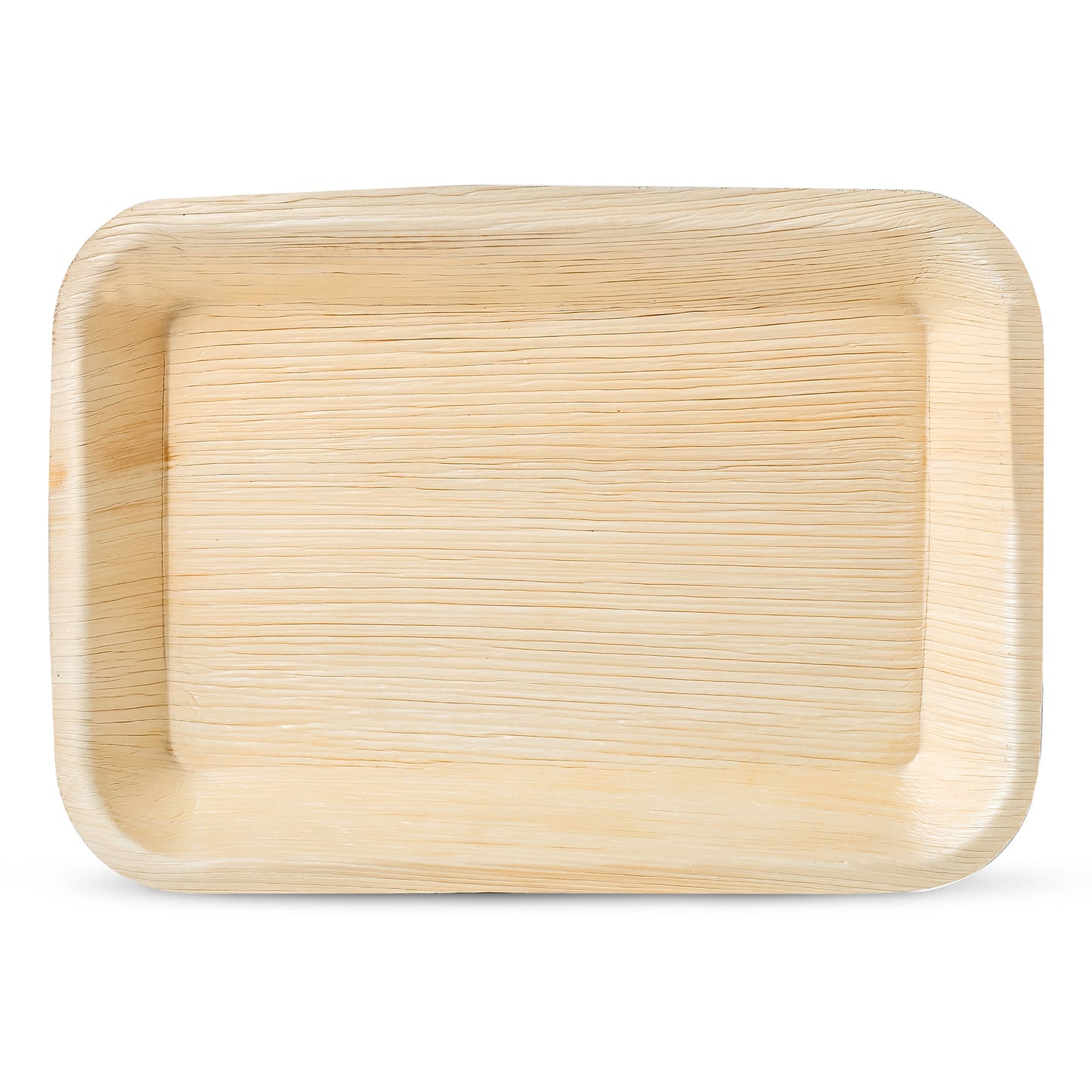 Small 6.5" x 4.5" Rectangle Disposable Trays