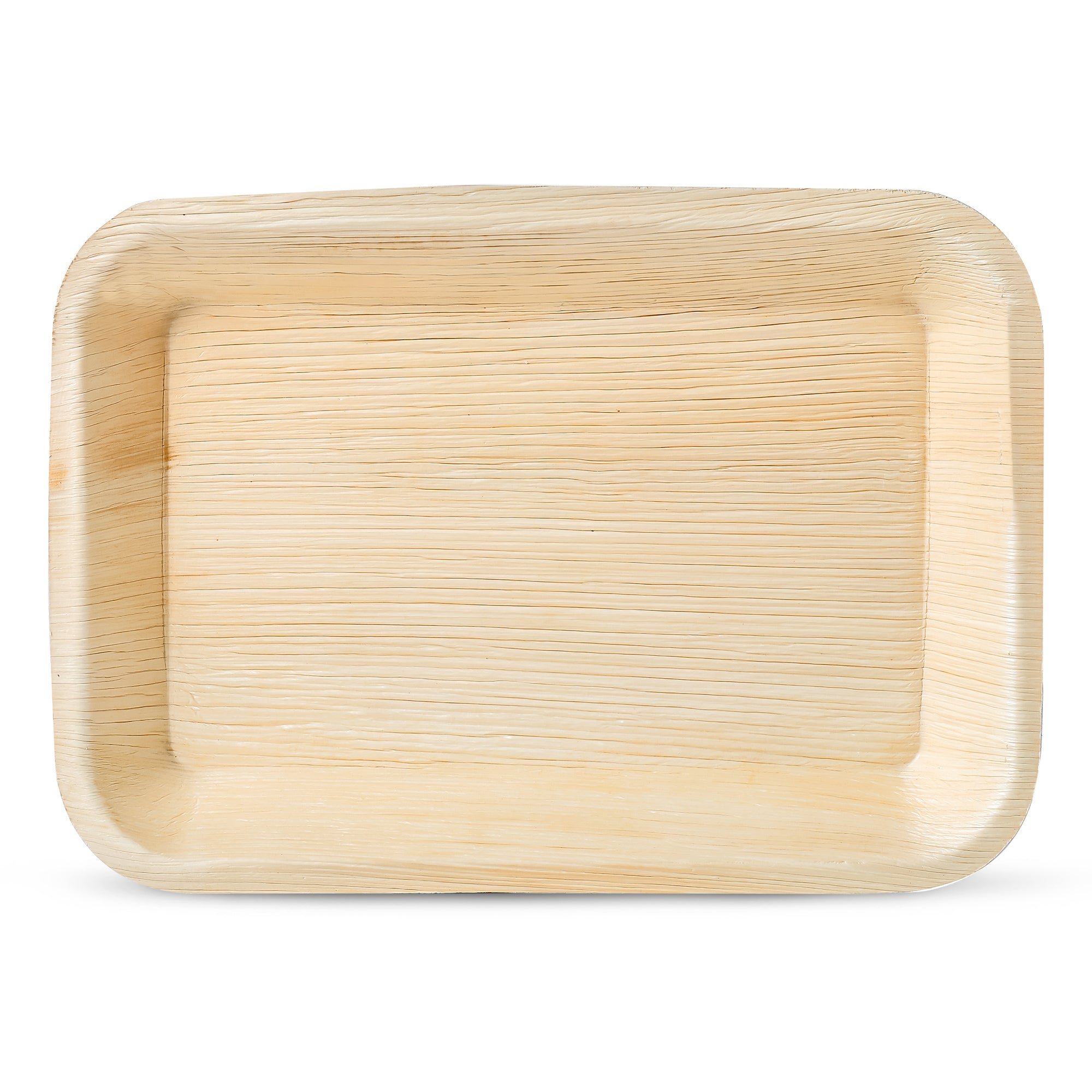 Small 6.5" x 4.5" Rectangle Disposable Trays