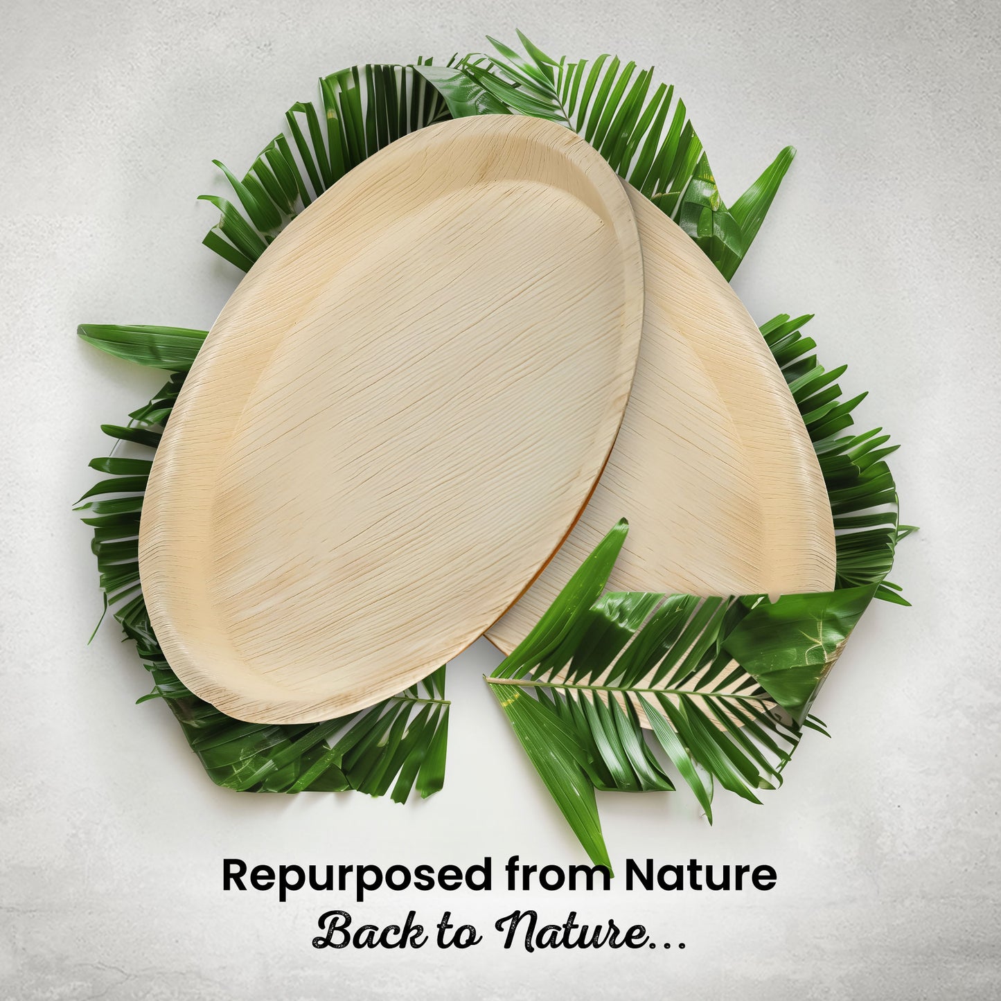 X-Large 30cm (12") Round Palm Leaf Plates
