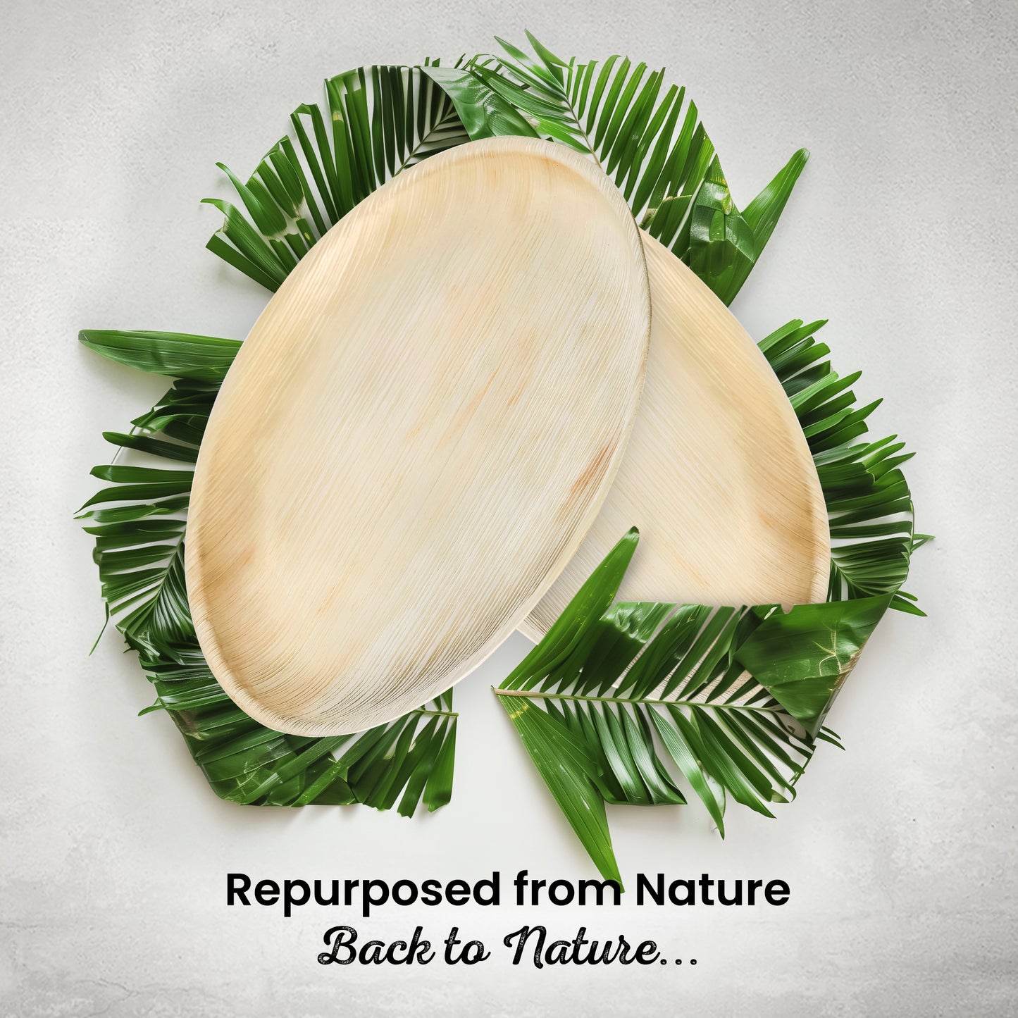 Large 25cm (10") Round Palm Leaf Plates
