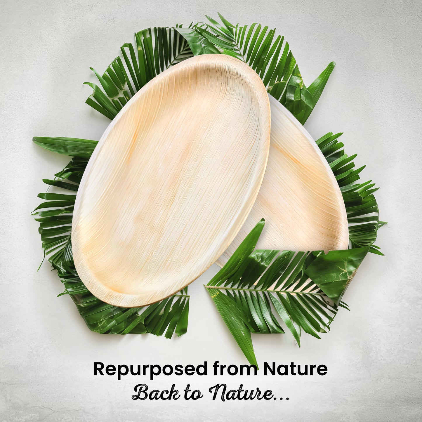 Large 23cm (9") Round Palm Leaf Plates