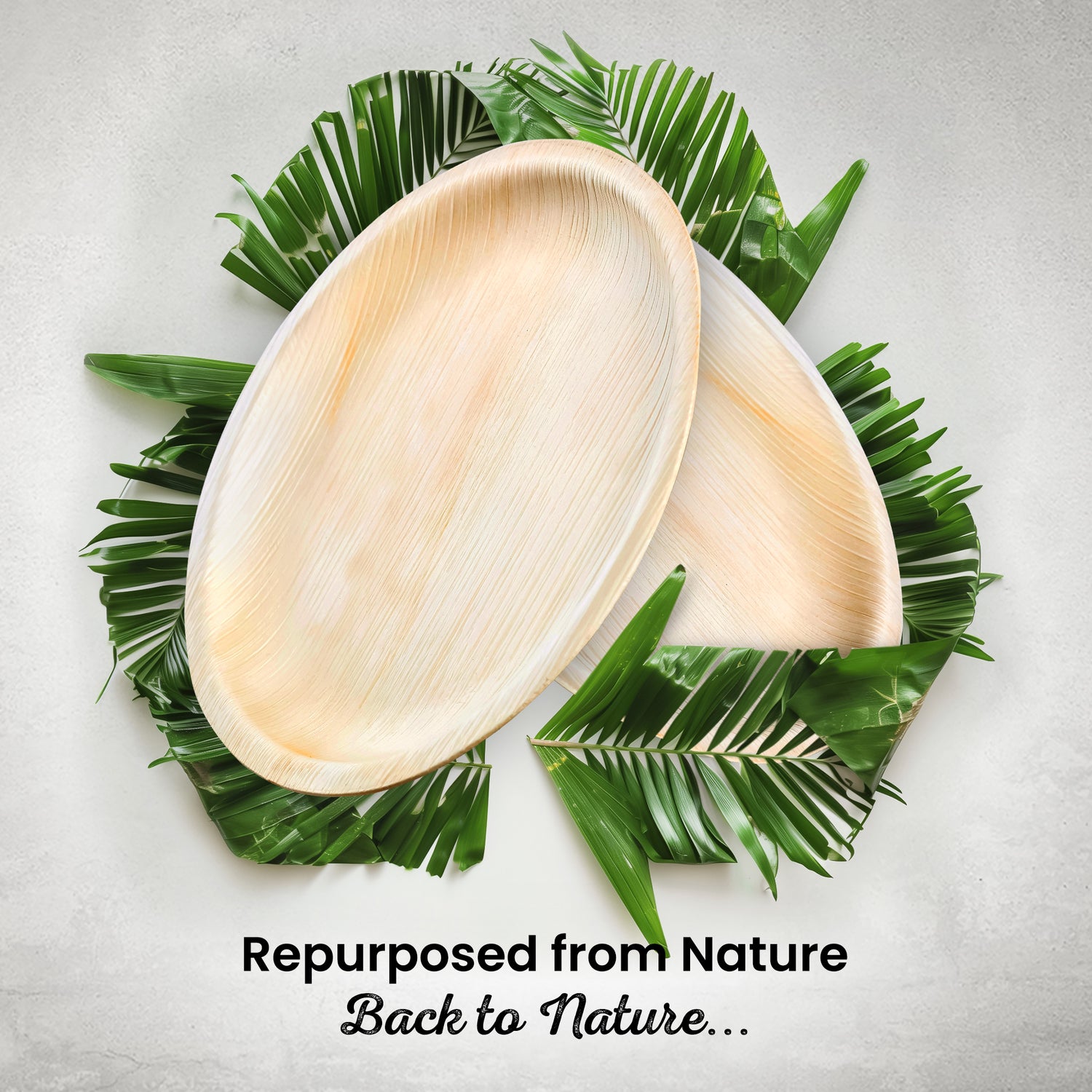 Large 23cm (9") Round Palm Leaf Plates