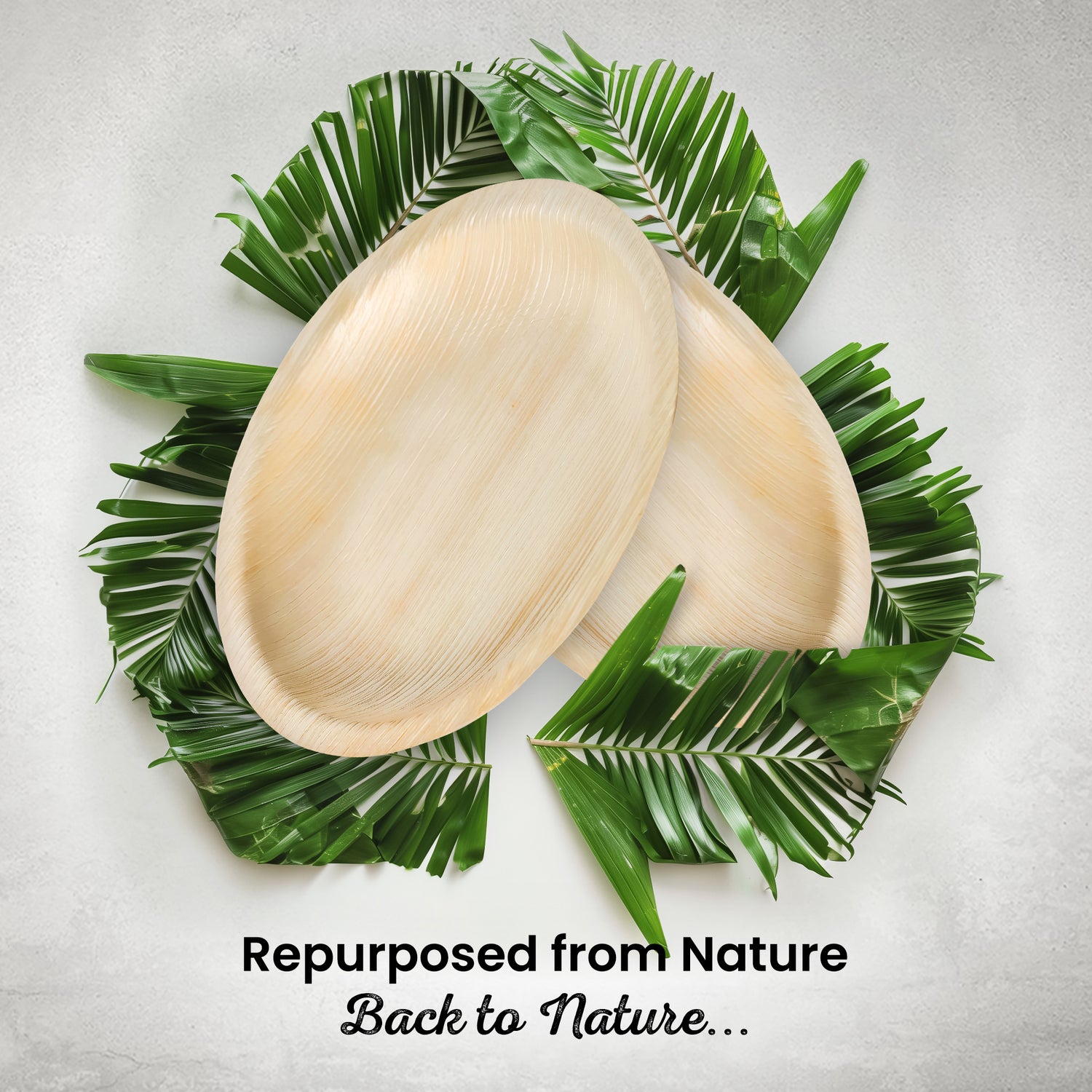 Small 15cm (6") Round Palm Leaf Plates