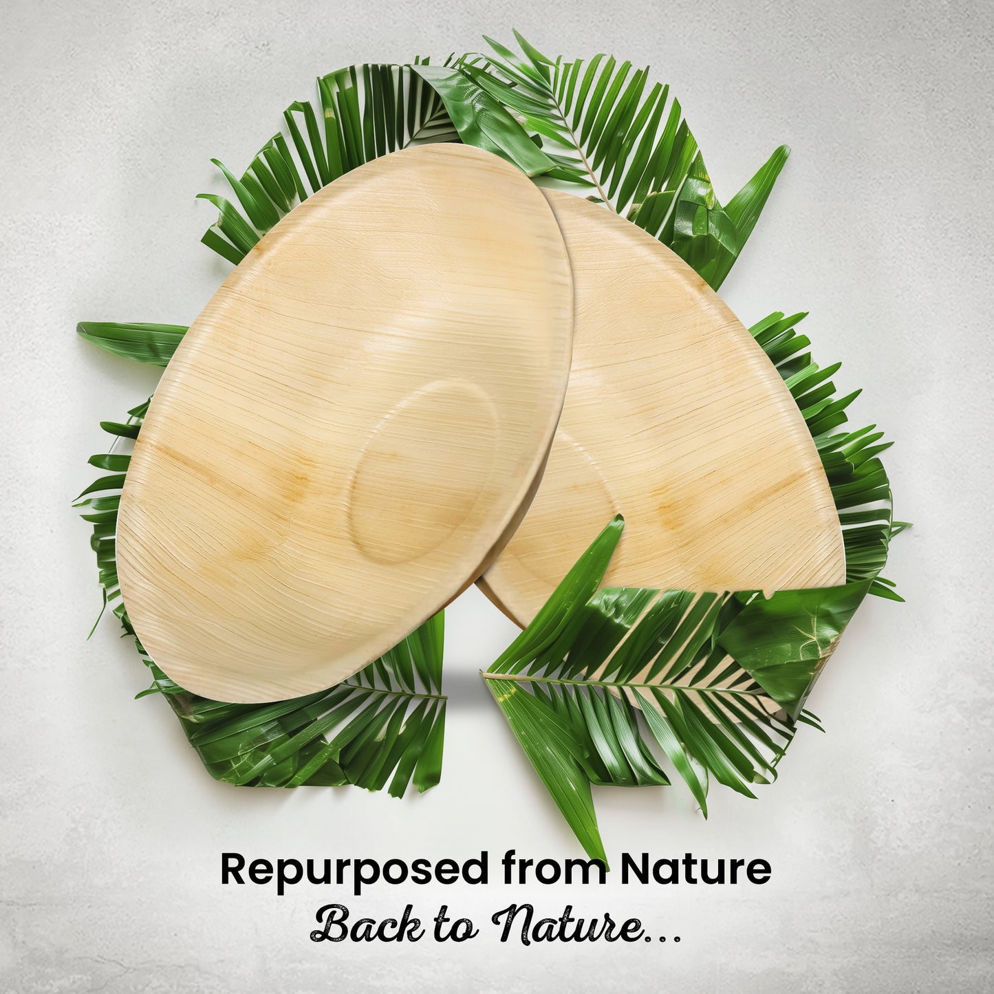 Large 19cm (8") Round Palm Leaf Bowls