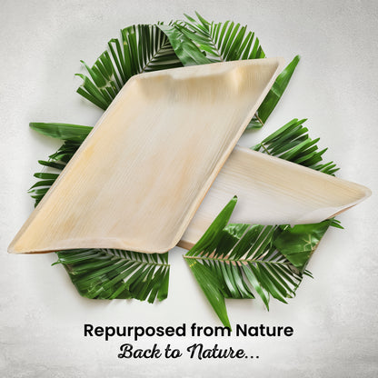 Large 14" x 10" Rectangle Disposable Trays