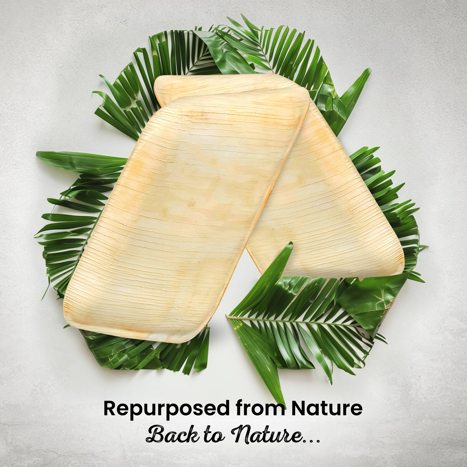 Large 23cm (9") Square Palm Leaf Plates