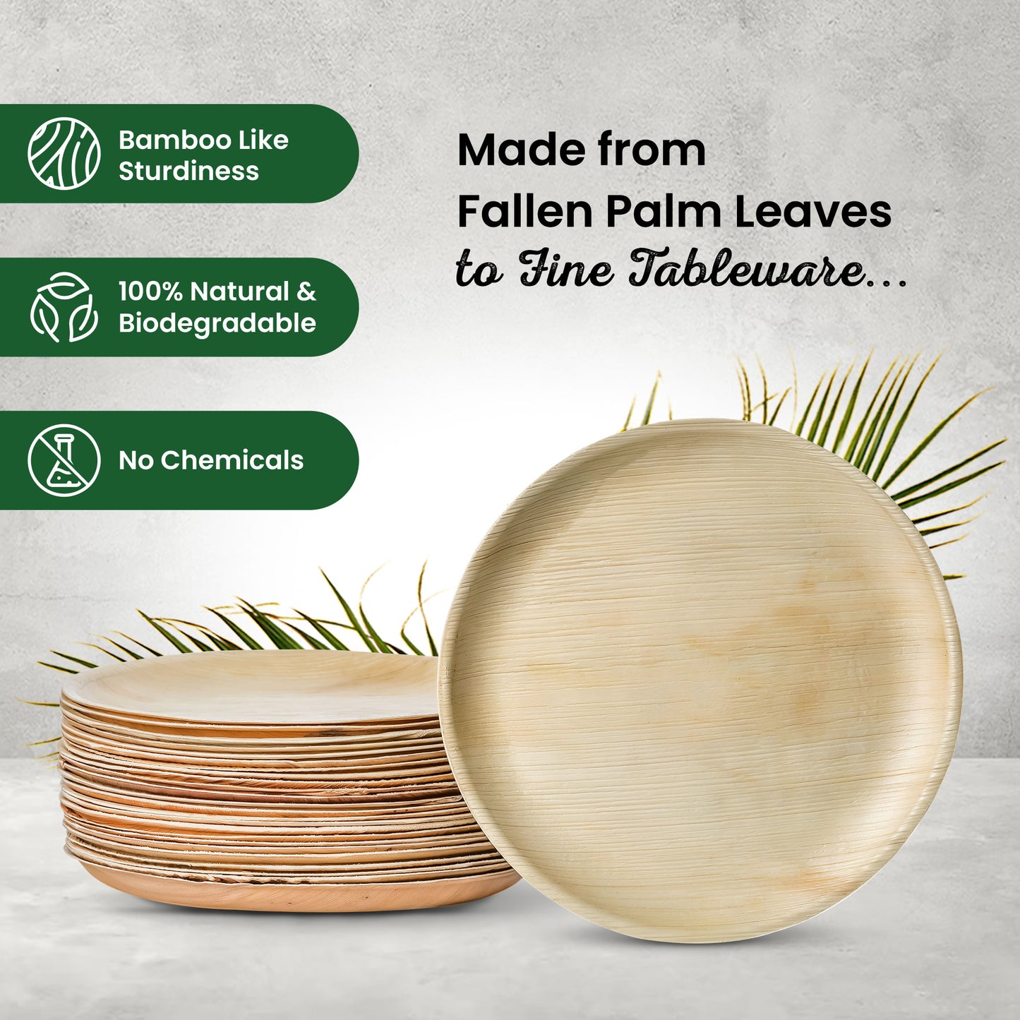 Large 25cm (10") Round Palm Leaf Plates