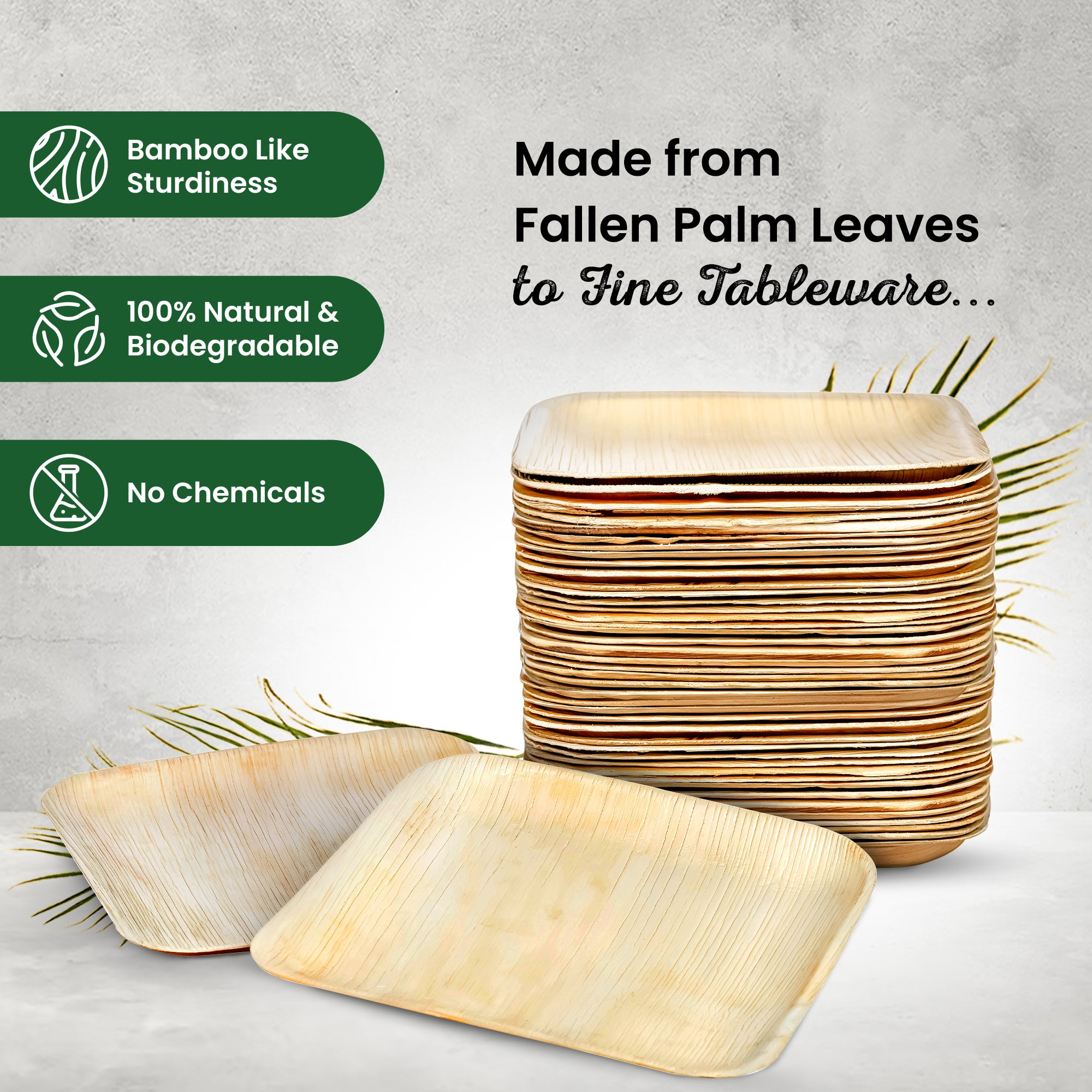 Large 25cm (10") Square Palm Leaf Plates