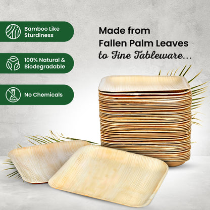 Medium 20cm (8") Square Palm Leaf Plates