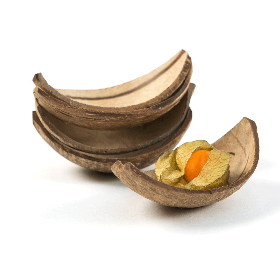 Coconut Boat - Pack of 5