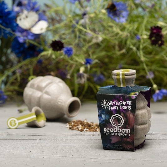 Cornflower Fairy Lights Seedbom