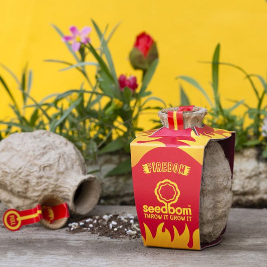 Firebom Seedbom