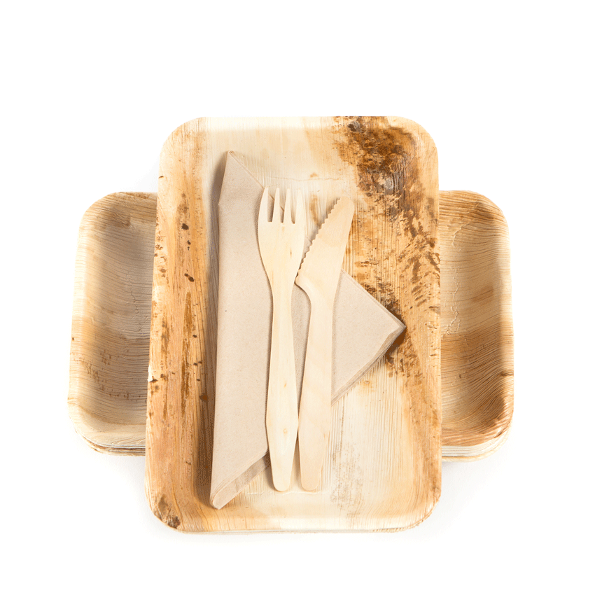 Palm Leaf 10" Rectangular Plate - Case of 100