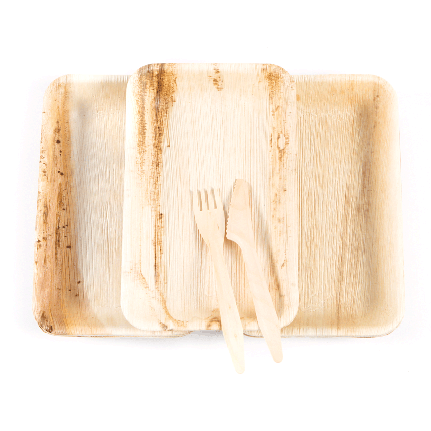 Palm Leaf 10" Rectangular Plate - Case of 100