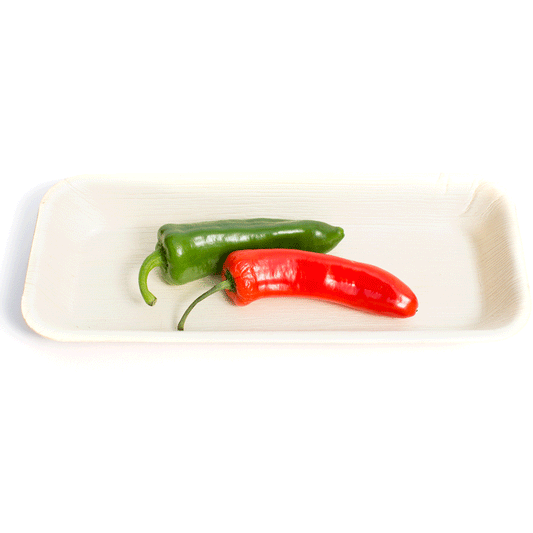 Palm Leaf 10" Rectangular Plate (NARROW STYLE) - Case of 100