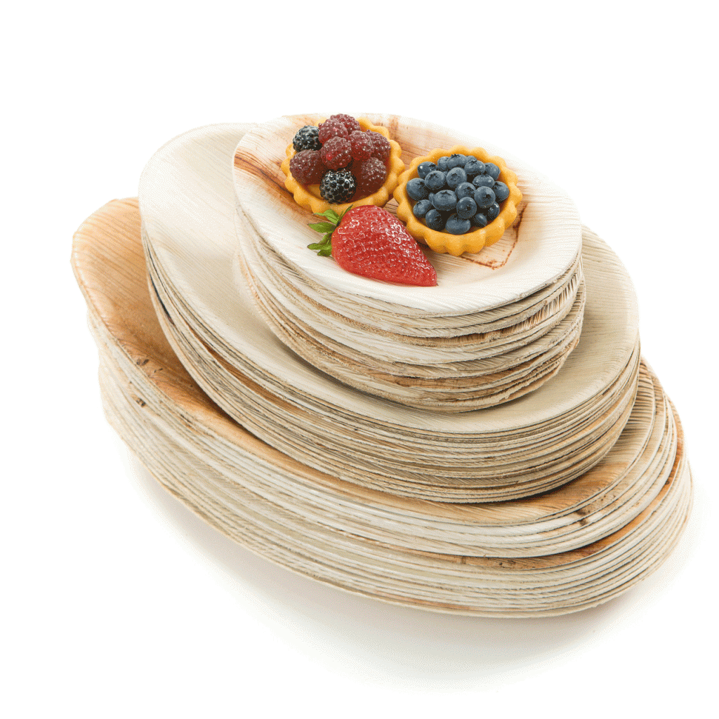 Palm Leaf 12" "Egg" Shape Plate