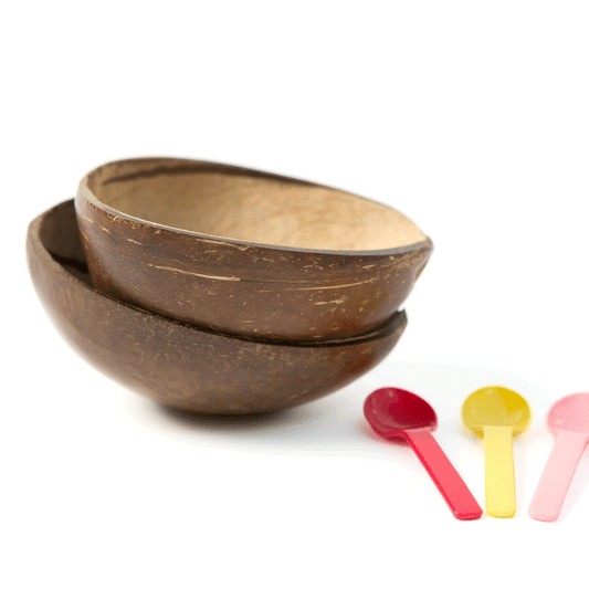 Polished Coconut Shell Bowl - Pack of 10