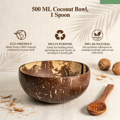 Large 500ml Polished Coconut Bowl
