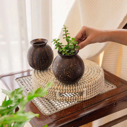 Plant Pot with Cork Tray