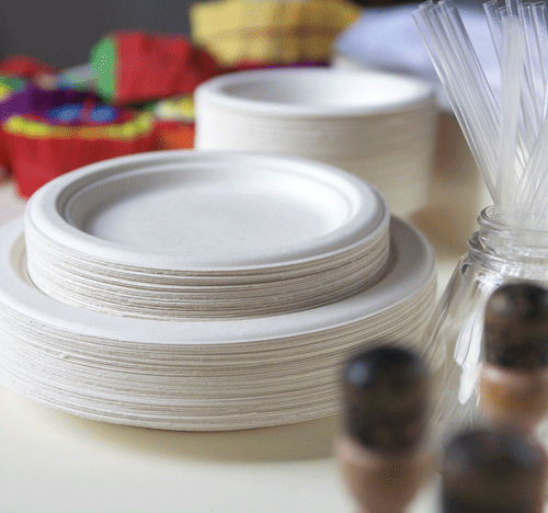 Sugar Cane Square Plates 10" - 50 Pack
