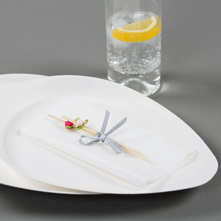Sugarcane Plates by Sucadrop, Large - Pack of 50