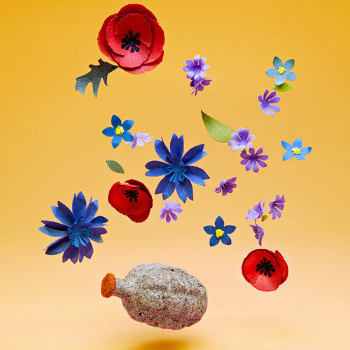 Pollinator BeeBom