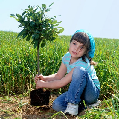 PLANT A TREE!