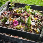 Little Cherry Loves: Composting