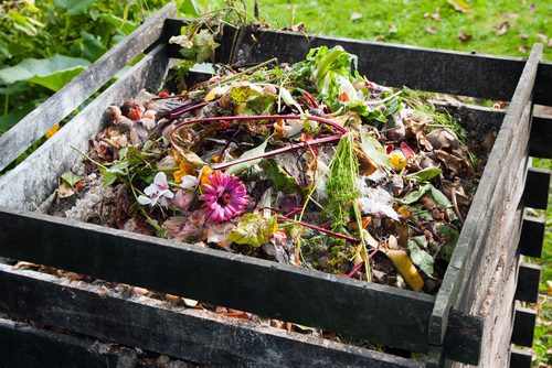 Little Cherry Loves: Composting