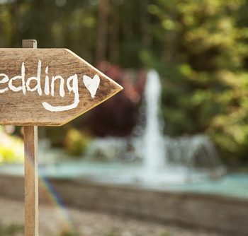Plan the Perfect Eco-Friendly Wedding