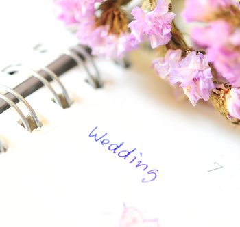 Starting to Plan your Eco-Friendly Wedding