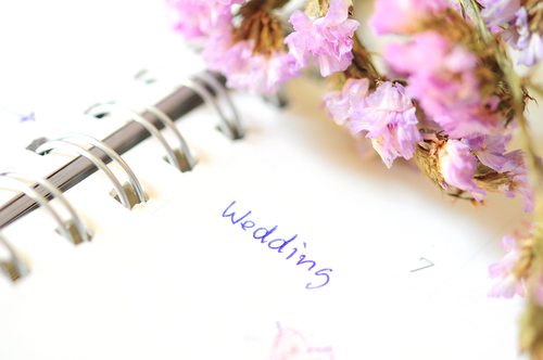 Starting to Plan your Eco-Friendly Wedding