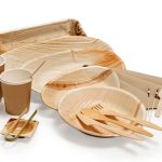 Get Ahead of the Game with Wholesale Disposable Tableware