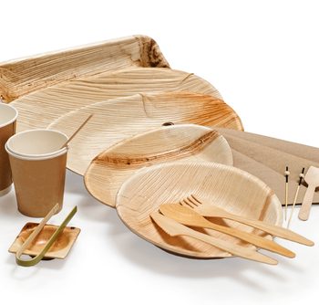 Get Ahead of the Game with Wholesale Disposable Tableware